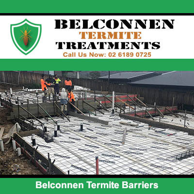 Termite barrier mesh system in Belconnen
