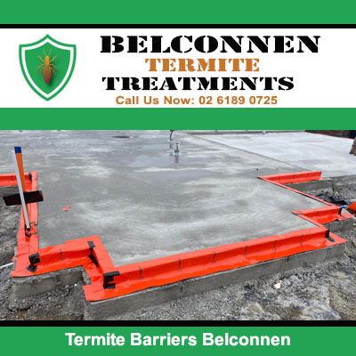 Termite barrier frame on concrete slab in Belconnen
