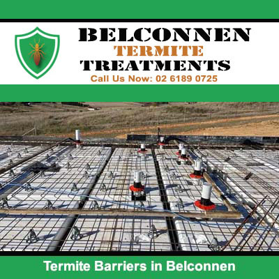 Termite barrier mesh with reinforcement grid in Belconnen