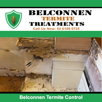 Termite control to wooden wall framing in Belconnen