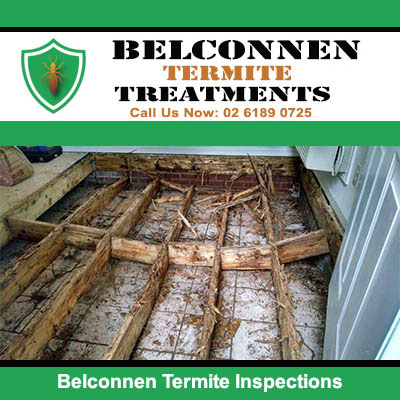 Termite inspection with extensive damage in Belconnen
