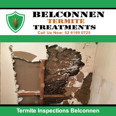 Termite inspection of interior wall & doorframe in Belconnen